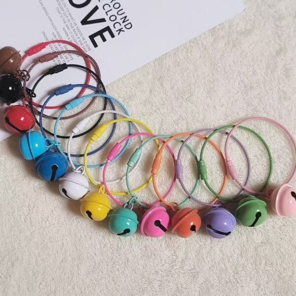 Key Chain - 图片 3