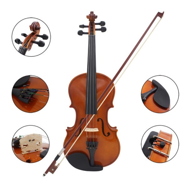 violin - 图片 5