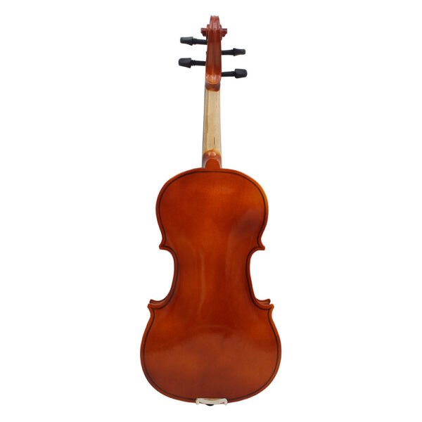 violin - 图片 3