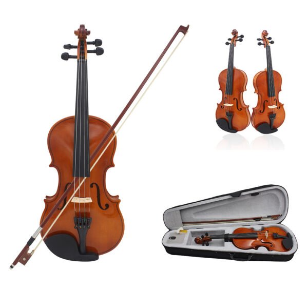 violin - 图片 2