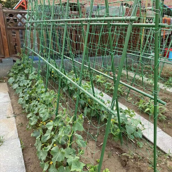 Climbing rattan trellis - 图片 5