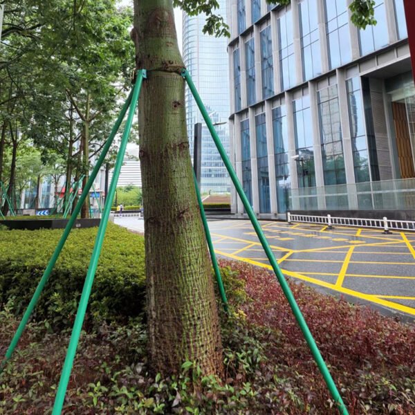 Climbing rattan trellis - 图片 3