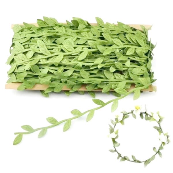 cane vine - 图片 3